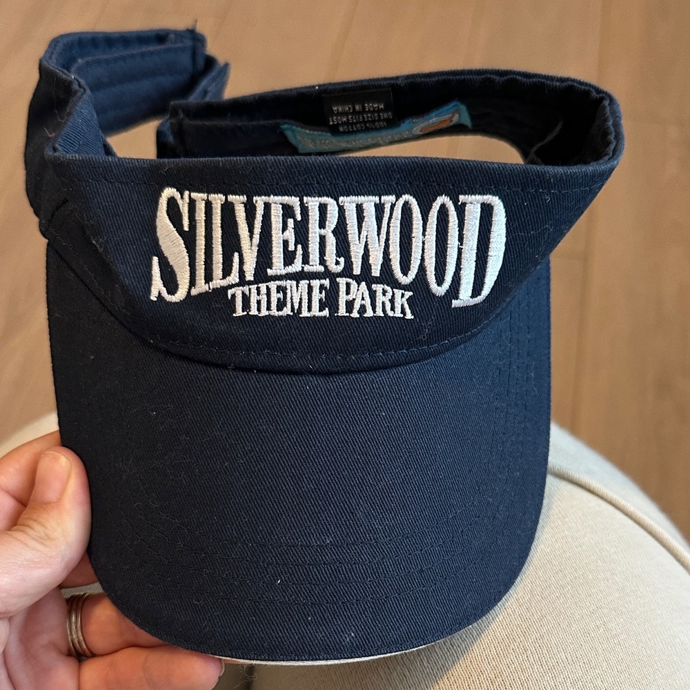 Silverwood Navy Visor
